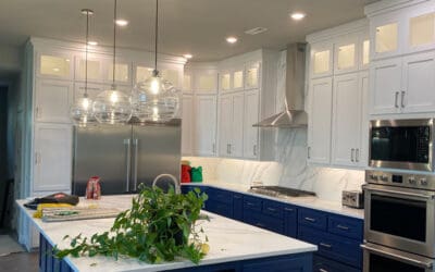 Modern kitchen with marble countertop and blue cabinet island. There's a plant on the island. Island has a wine fridge